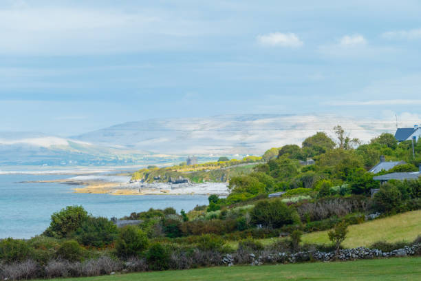 istock Burren stony landscape in Ireland 1182880634