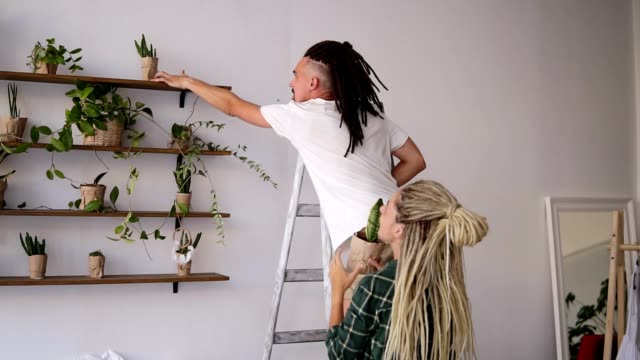 Young couple arranging home stuff together. Man standing on ladder and place the plants on shelf. His beautiful dreadlocked girlfriend giving him plants. New flat. Rare view. Slow motion