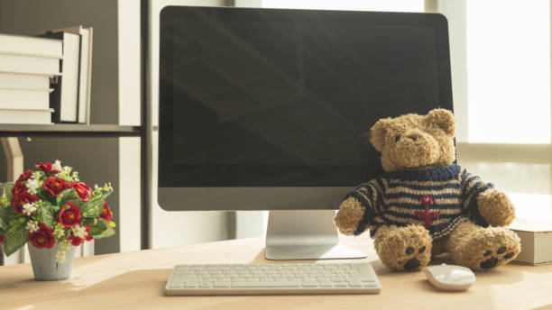 Working desk with computer monitor , artificial flower in pot, teddy bear with white bookshelf background.