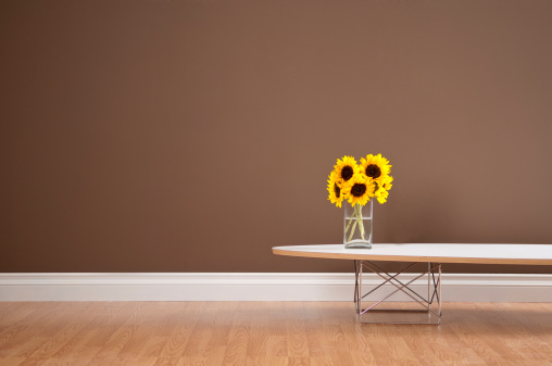 LIving room with modern coffee table with sunflowers.