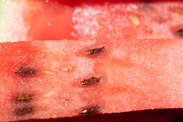 istock Watermelon macro texture. fresh juicy fruit background 1182883089