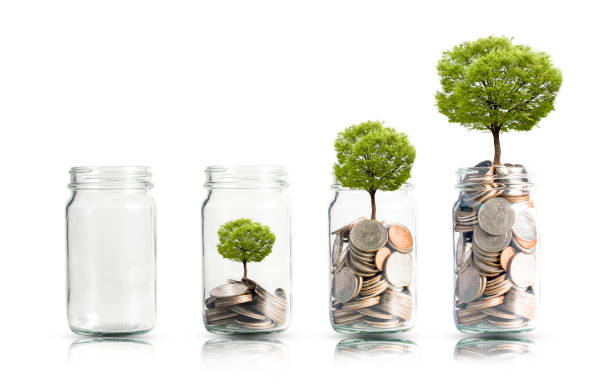 money coins and tree growing in jar. profit on deposit in bank and dividend for stock investment concept. - retirement investment capital letter text imagens e fotografias de stock