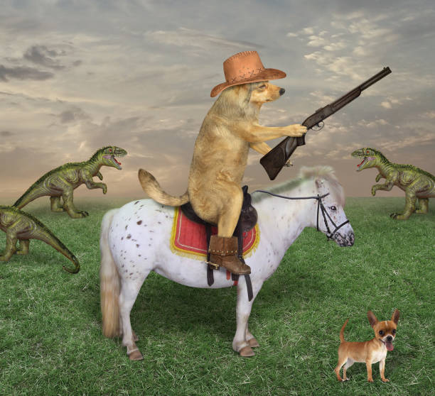 istock Dog on white horse grazes dragons 1182883470