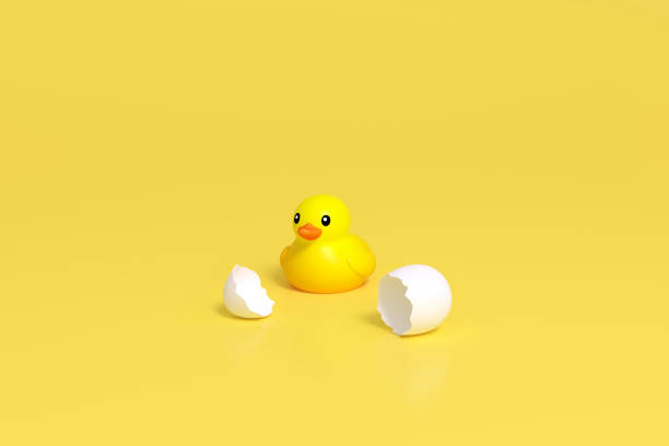 boneca amarela do pato pequeno, boneca amarela do pato de borracha, brinquedo do banho do pato, brinquedo do bebê no fundo amarelo - duck animal egg isolated bird - fotografias e filmes do acervo