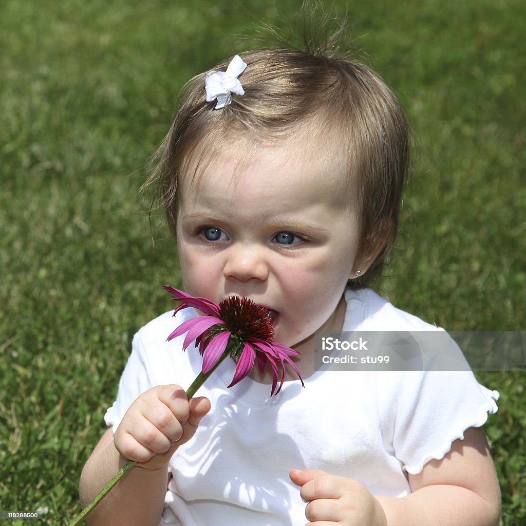 Süßes für Babys – Mädchen - Lizenzfrei Auf dem Boden sitzen Stock-Foto