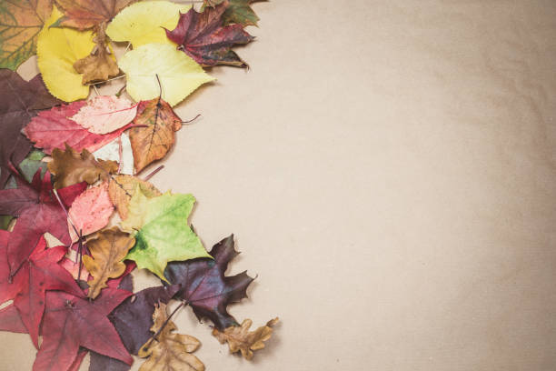 istock Flat Lay of Autumn Composition with Colorful Leaves 1182889355