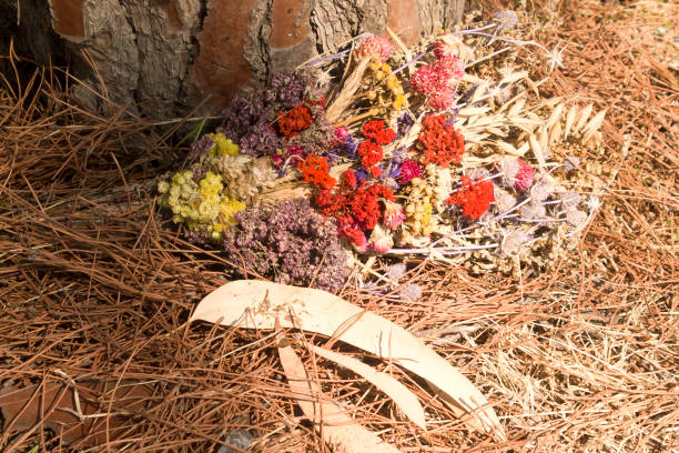 Dried herb and flower bunch on pine needles Multi colored mixed dried herb and flower bunch lying on the ground with dry fallen eucalyptus leaves and pine needles in sunlight pine needle tea stock pictures, royalty-free photos & images