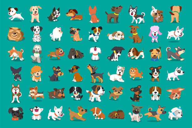 verschiedene art von vektor cartoon hunde - schoßhund stock-grafiken, -clipart, -cartoons und -symbole