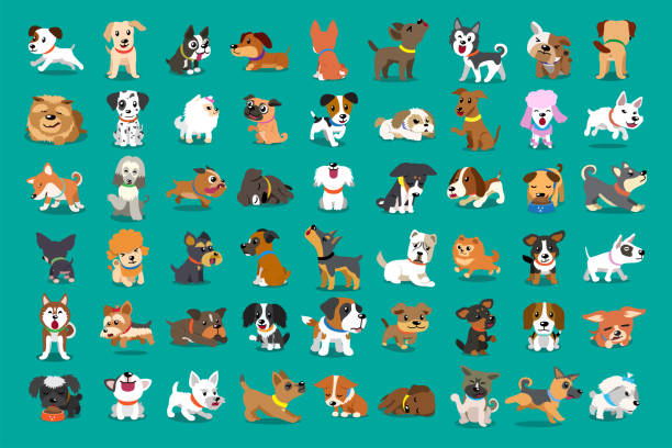 ilustrações de stock, clip art, desenhos animados e ícones de different type of vector cartoon dogs - purebred dog illustrations