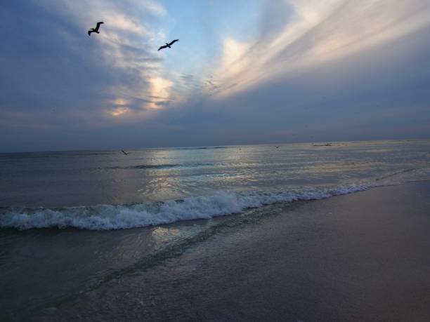 istock Dark Sky Dramatic Sunset Lido Key 1182895289
