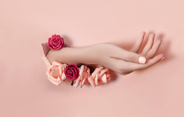 hand with paper flowers and painted nails is thrust through a hole in the paper background. cosmetics and hand care, moisturizing and wrinkle reduction - ramo parte de uma planta ilustrações imagens e fotografias de stock