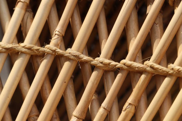 istock Bamboo Brown Pattern Background Natural Organic Close Up 1182895696