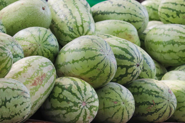 istock Heap Of Large Watermelon Fruit 1182895773