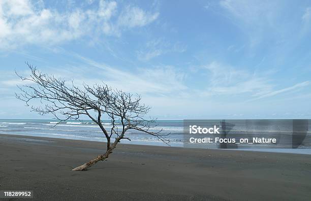 Foto de Praia Tropical e mais fotos de stock de Areia - Areia, Arrebentação, As Américas