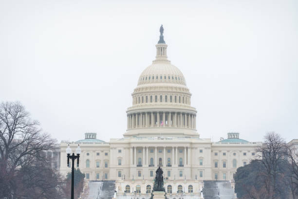 istock US Capitol in Washington DC at winter 1182903106