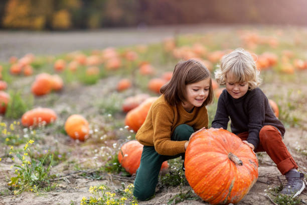 istock Two little boys having fun in a pumpkin patch 1182904108