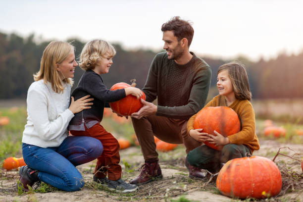istock Happy young family in pumpkin patch field 1182904221