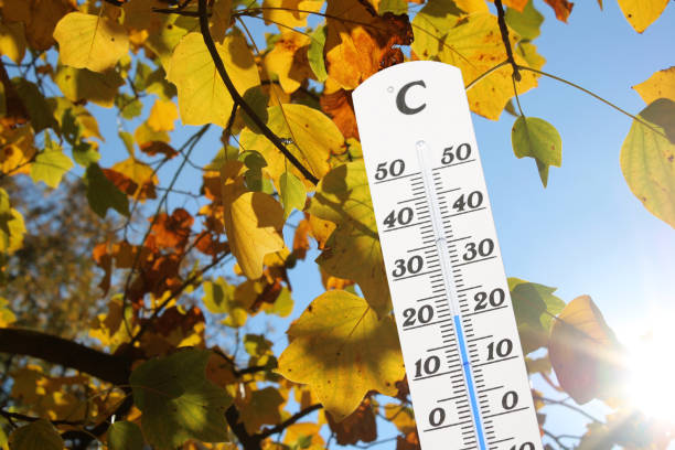 istock Thermometer in front of an autumn colored tree 1182905196