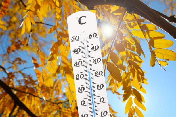 Thermometer in front of an autumn colored tree