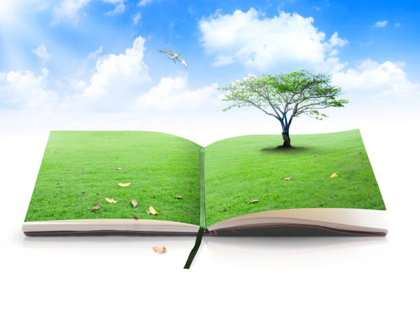 World environment day concept Opening book of nature with bird flying over blue sky background copyright free medical stock pictures, royalty-free photos & images