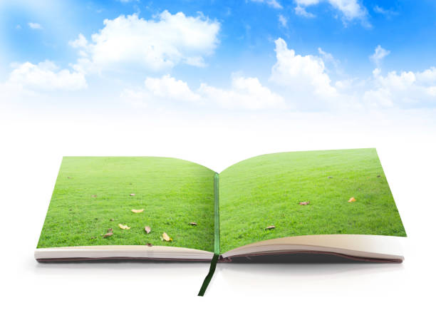 World environment day concept Opening book of nature over blue sky background copyright free medical stock pictures, royalty-free photos & images