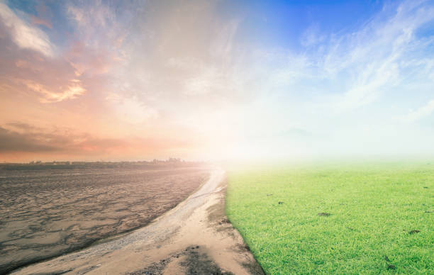 environmental change concept - decisions nature road street imagens e fotografias de stock