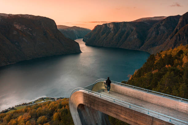 A Tourist Views Aurlandsfjord From the Stegastein Lookout in Norway at Sunset A tourist takes in the view from the Stegastein viewpoint overlooking the Aurlandsfjord at sunset with a beautiful sunset stegastein viewpoint stock pictures, royalty-free photos & images