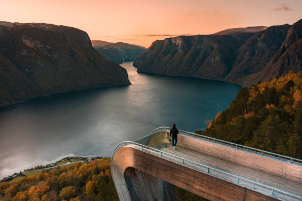 um turista vê aurlandsfjord da vigia de stegastein em noruega no por do sol - flam aurlandsfjord sognefjord fjord - fotografias e filmes do acervo