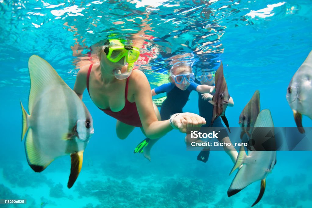 Mother, kid in snorkeling mask dive underwater with tropical fishes Happy family - mother, kids in snorkeling mask dive underwater, explore tropical fishes in coral reef sea pool. Travel active lifestyle, beach adventure, swimming activity on summer holiday with child Snorkeling Stock Photo