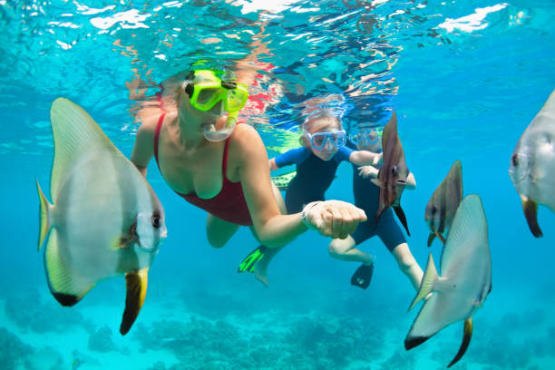 Mother, kid in snorkeling mask dive underwater with tropical fishes Happy family - mother, kids in snorkeling mask dive underwater, explore tropical fishes in coral reef sea pool. Travel active lifestyle, beach adventure, swimming activity on summer holiday with child underwater diving stock pictures, royalty-free photos & images