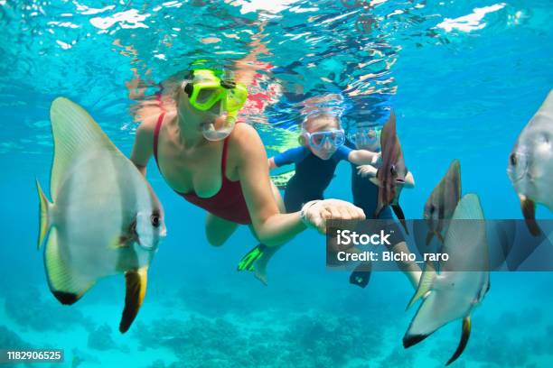 Mother Kid In Snorkeling Mask Dive Underwater With Tropical Fishes Stock Photo - Download Image Now
