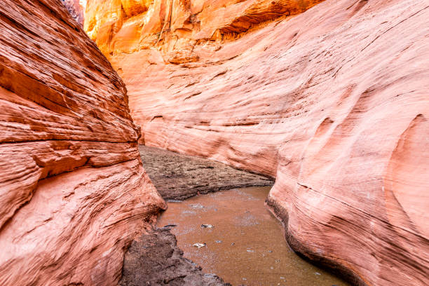 formas de forma de onda rosa en el cañón de ranura antelope en arizona con tierra de agua fangosa después de la pista de inundación flash del lago powell - lower antelope canyon flash fotografías e imágenes de stock