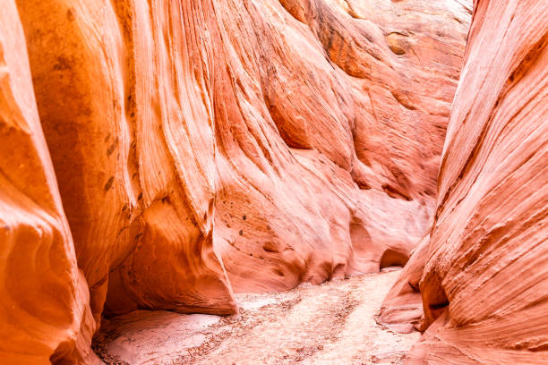 formazioni di forma di onda rossa rosa al canyon di slot antelope in arizona con sentiero sentiero dal lago powell - 16615 foto e immagini stock