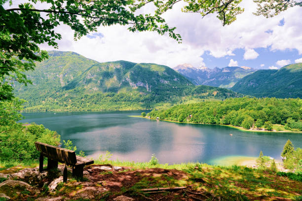 bench at bohinj lake in slovenia - lake bohinj imagens e fotografias de stock