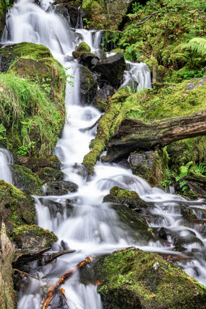 istock Waterfall near Burrator Reserviour, Sheepstor, Devon, UK 1182911785