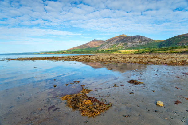 low tide at trefor beach - coastline pebble the lleyn peninsula wales imagens e fotografias de stock