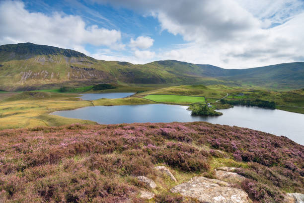 istock Summer in Snowdonia 1182912393