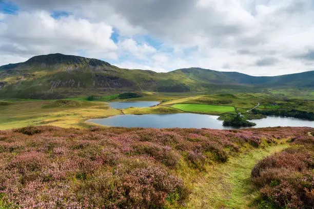 The Cadair Iris Mountains towering over Cregennan Lakes in Snowdonia National Park in Wales