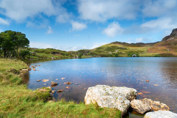 istock Summer at Cregennan Lakes 1182912400