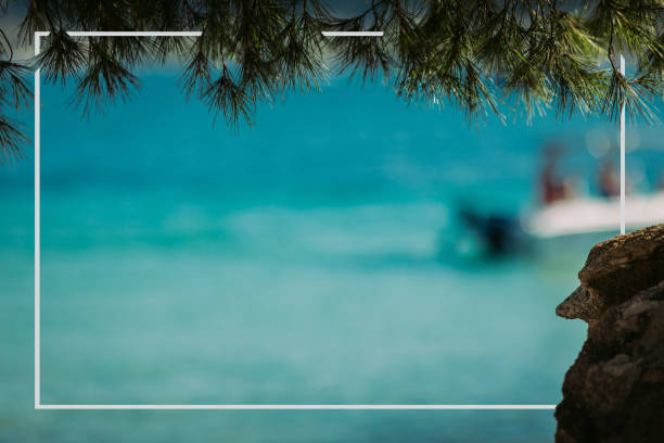 pine tree and amazing blue sea background . Summer vacation and travel . Copy space. blur boat on background