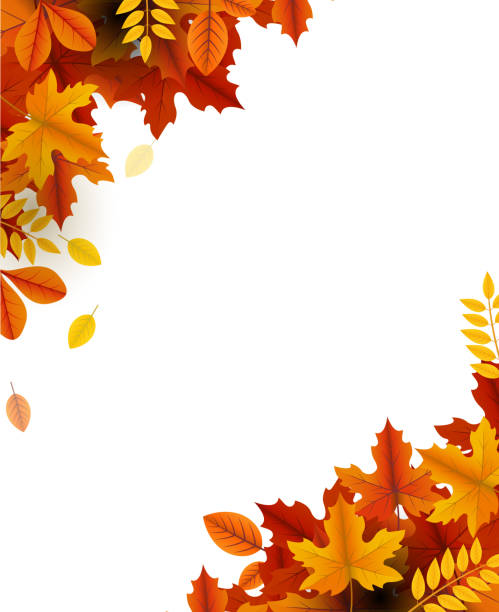 bildbanksillustrationer, clip art samt tecknat material och ikoner med höst skönhet - autumn leaves