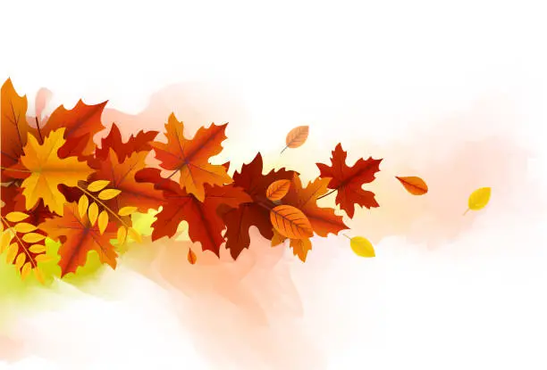 Vector illustration of autumn beauty leaves design