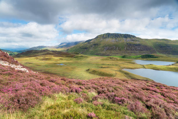 istock Cadair Idris Mountains in Snowdonia 1182915810