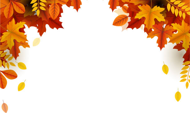 ilustrações de stock, clip art, desenhos animados e ícones de autumn beauty falling leaves frame - autumn leaf falling panoramic