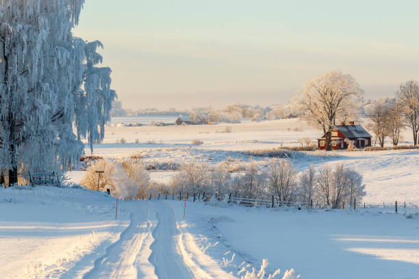 istock Snowy winter road in a rural landscape 1182916921
