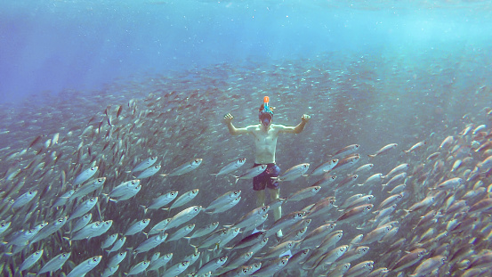 Young swimming man surrounded by million fishes or bait ball. The young man is wearing a snorkel mask and he descends in the huge group or school with fishes. All the fishes move as one organism: they turn to a certain side all at once!