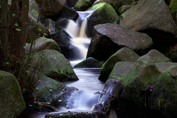 istock Padley Gorge, Peak District National Park. 1182917739