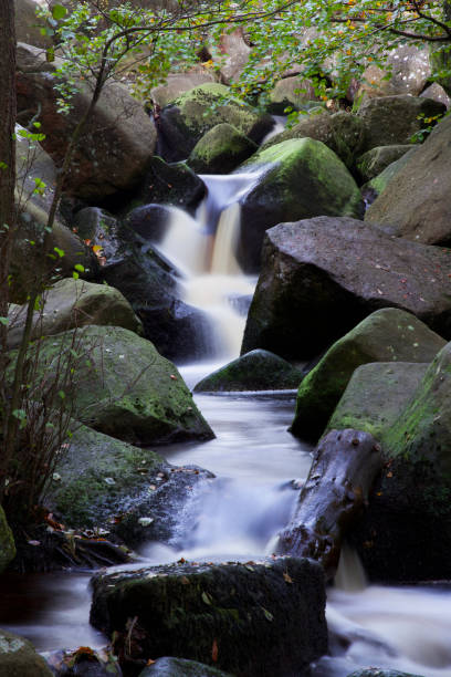 istock Padley Gorge, Peak District National Park. 1182917743
