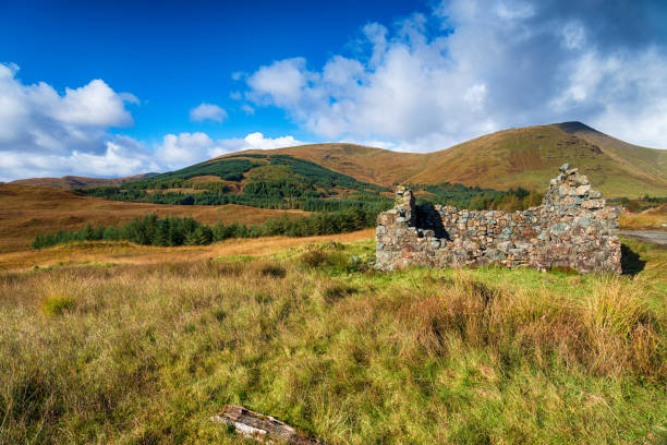 istock Torness in Scotland 1182919665