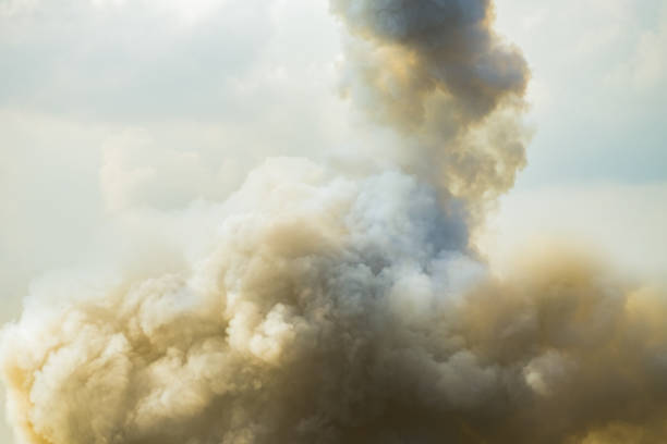 dense smoke background, - forest fire power actions nature imagens e fotografias de stock